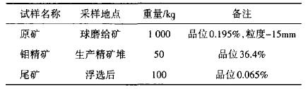 某鉬礦磨選工藝流程的研究與改造 某鉬礦磨選工藝流程的研究與改造