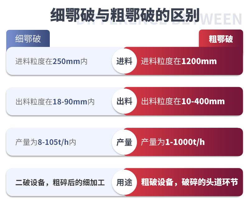 細顎和粗鄂的區別  細顎和粗鄂的區別